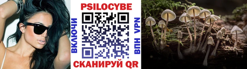 Псилоцибиновые грибы Psilocybine cubensis  Бузулук 